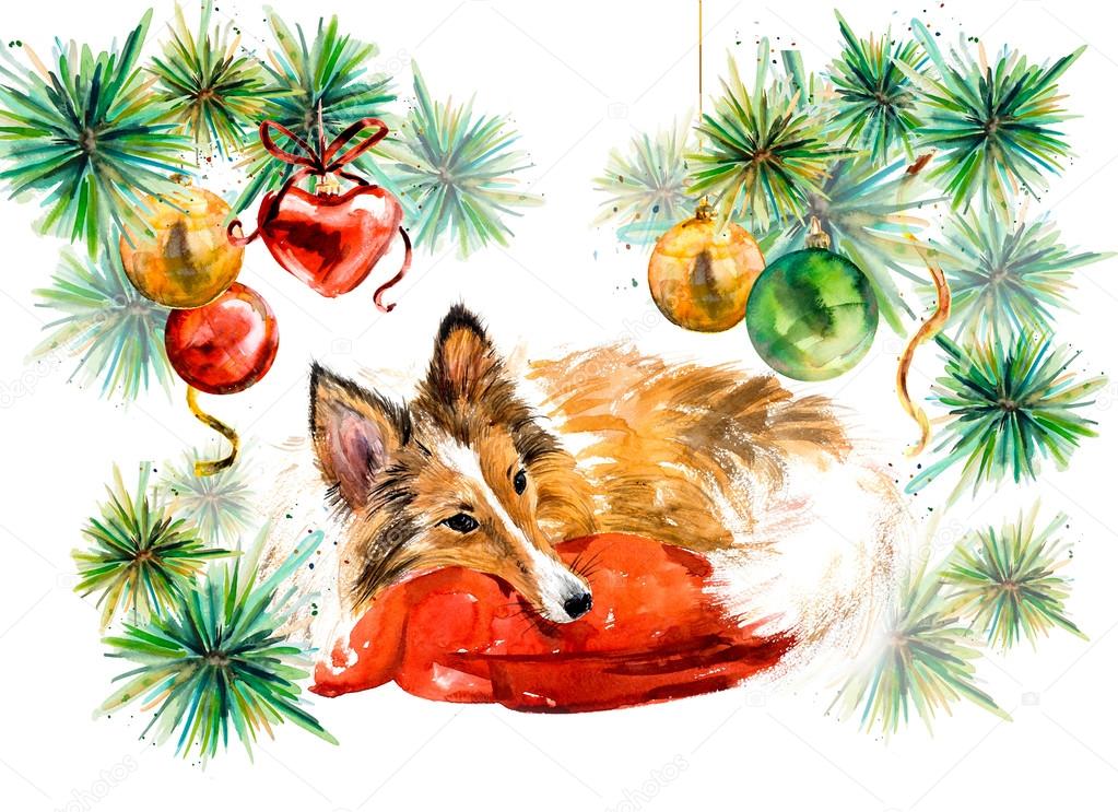 Freundlicher Sheltie im Alltag mit seiner Familie